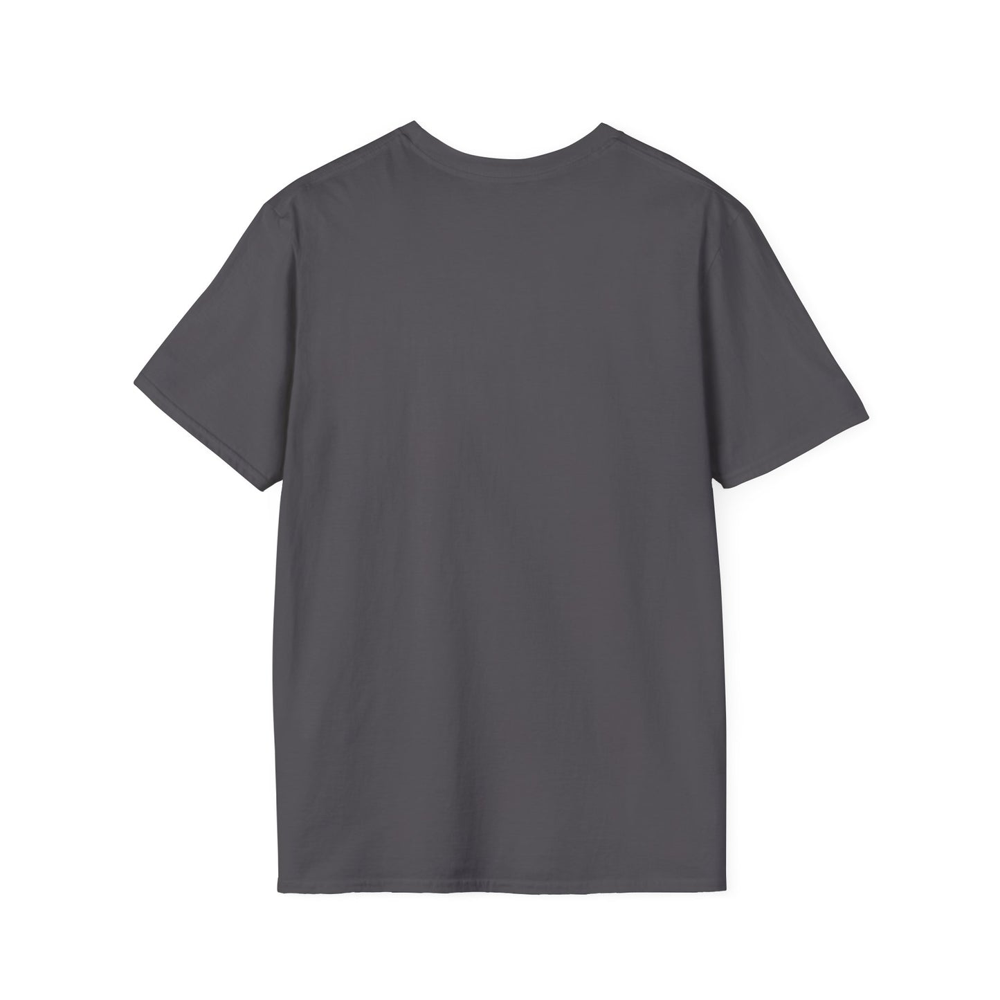 Feather Graphic Tee - Palm Springs Native American Lavender Feather