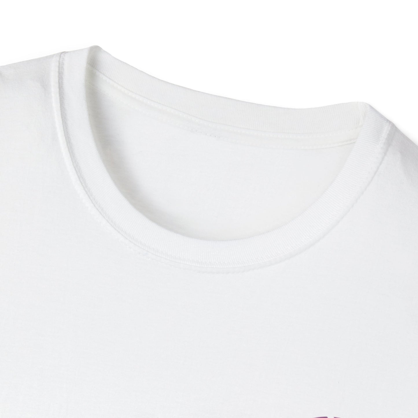 Feather Graphic Tee - Palm Springs Native American Lavender Feather
